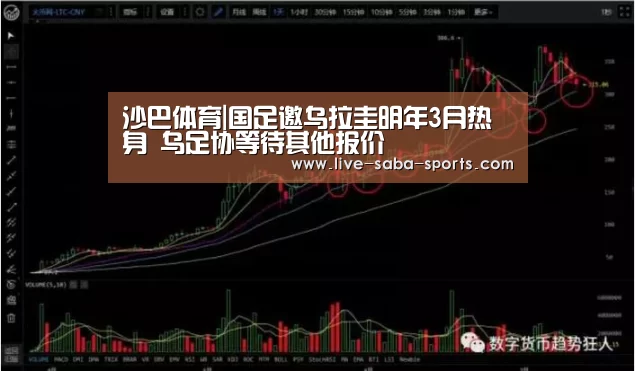 沙巴体育平台