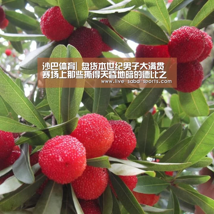 沙巴足球