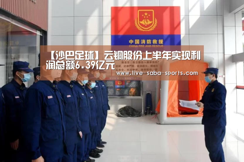 【沙巴足球】云铜股份上半年实现利润总额6.39亿元(图2) 沙巴体育平台