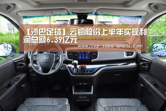 【沙巴足球】云铜股份上半年实现利润总额6.39亿元(图1) 沙巴体育平台