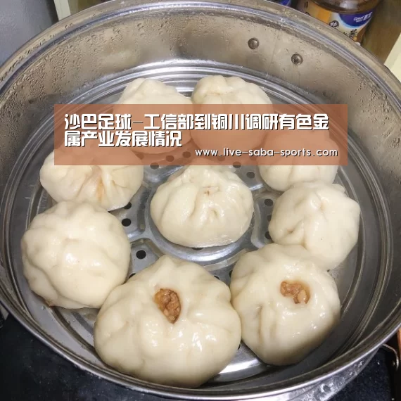 沙巴足球-工信部到铜川调研有色金属产业发展情况(图2) 沙巴体育平台
