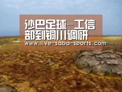 沙巴足球-工信部到铜川调研有色金属产业发展情况(图4) 沙巴足球