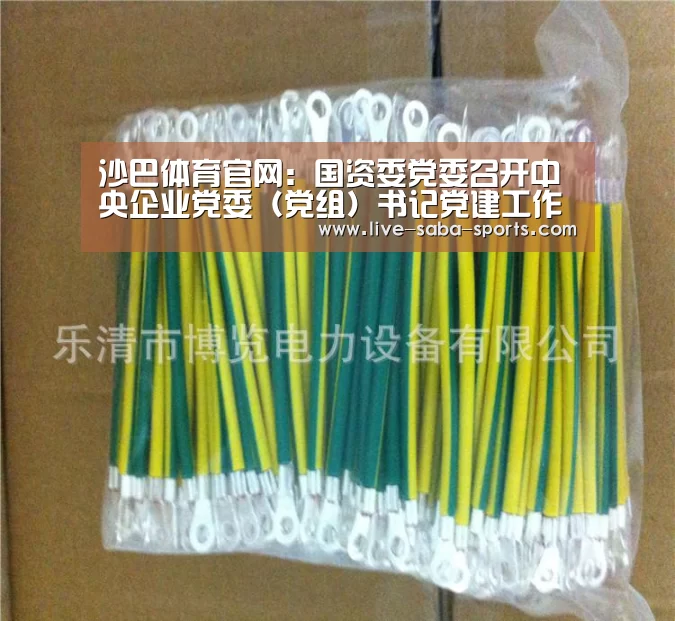 沙巴体育官网:国资委党委召开中央企业党委(党组)书记党建工作述职会 以党的政治建设为统领 带动中央企业党的建设质量全面提高(图1) 沙巴体育