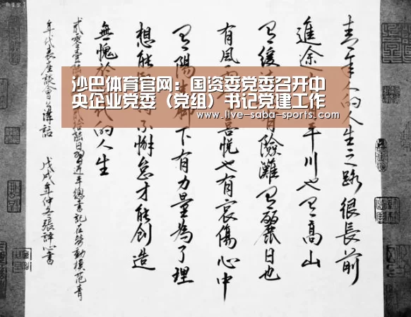 沙巴体育官网:国资委党委召开中央企业党委(党组)书记党建工作述职会 以党的政治建设为统领 带动中央企业党的建设质量全面提高(图3) 沙巴体育官网