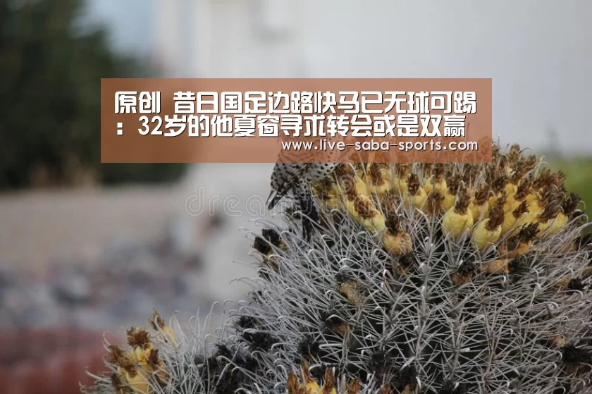 沙巴体育官网